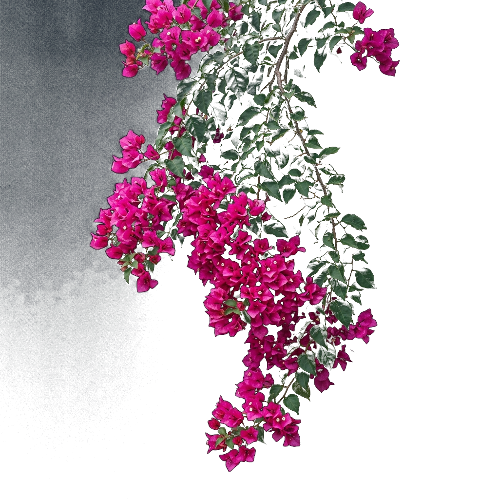Biophilic Floral Foliage